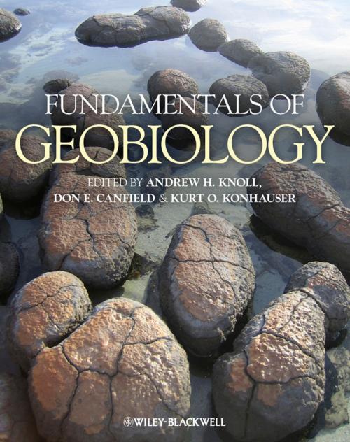 Cover of the book Fundamentals of Geobiology by , Wiley