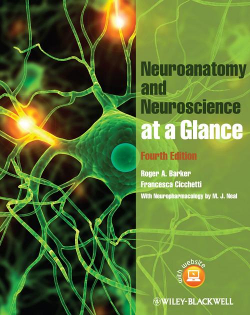 Cover of the book Neuroanatomy and Neuroscience at a Glance by Roger A. Barker, Francesca Cicchetti, Wiley
