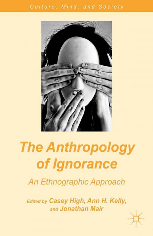 Cover of the book The Anthropology of Ignorance by , Palgrave Macmillan US