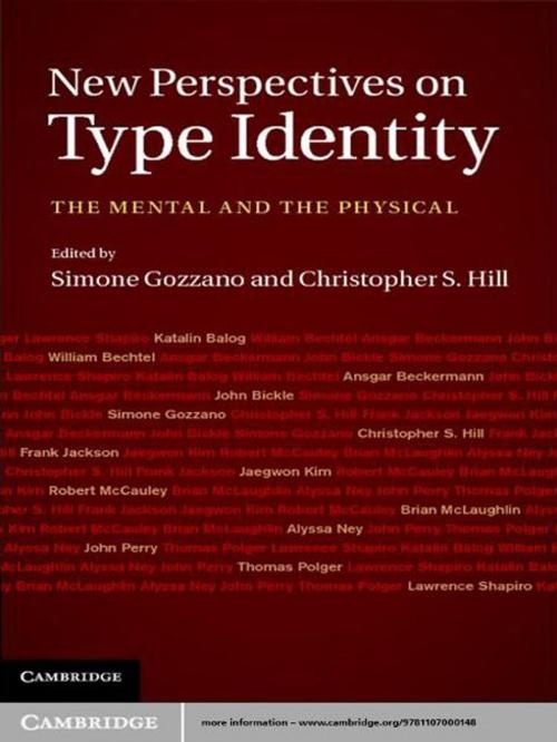 Cover of the book New Perspectives on Type Identity by , Cambridge University Press