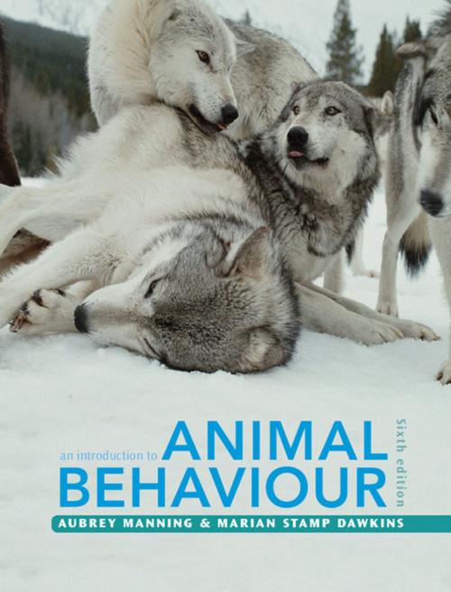 Cover of the book An Introduction to Animal Behaviour by Aubrey Manning, Marian Stamp Dawkins, Cambridge University Press