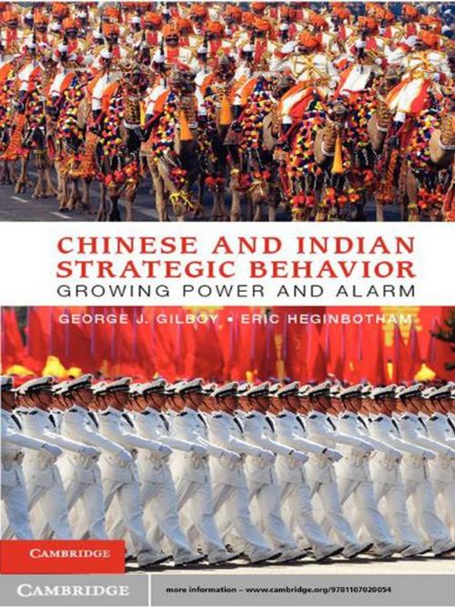 Cover of the book Chinese and Indian Strategic Behavior by Dr George J. Gilboy, Dr Eric Heginbotham, Cambridge University Press