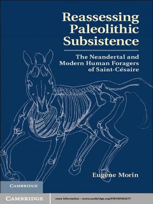 Cover of the book Reassessing Paleolithic Subsistence by Dr Eugène Morin, Cambridge University Press