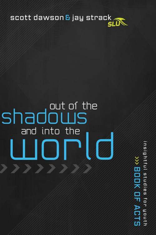 Cover of the book Out of the Shadows and Into the World by Jay Strack, Scott Dawson, Thomas Nelson