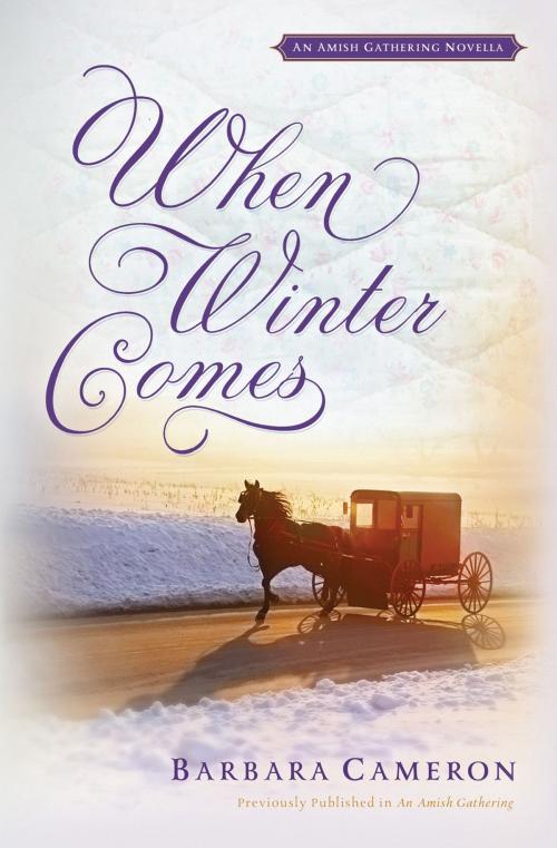 Cover of the book When Winter Comes by Barbara Cameron, Thomas Nelson