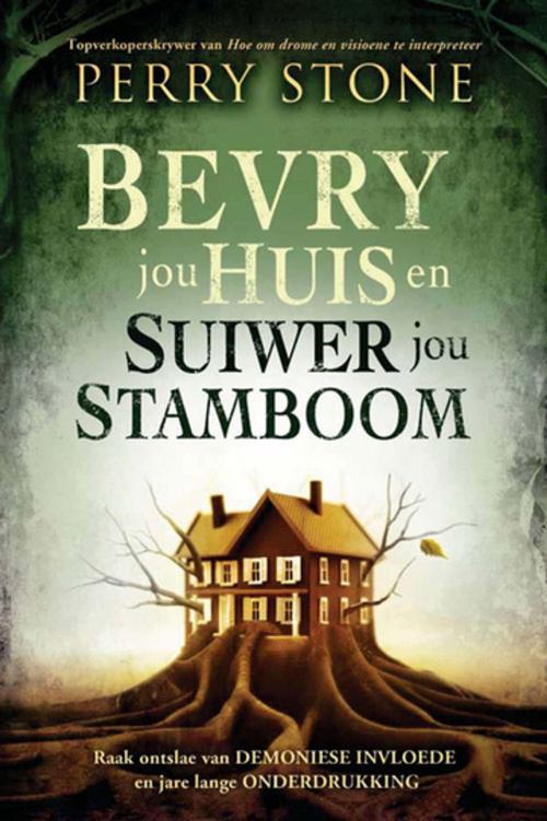 Cover of the book Bevry jou huis en suiwer jou stamboom by Perry Stone, Christian Art Distributors Pty Ltd
