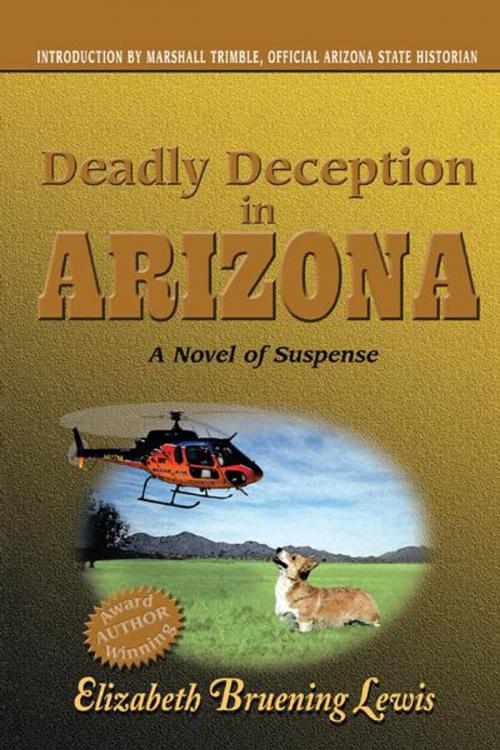 Cover of the book Deadly Deception in Arizona by Elizabeth Bruening Lewis, Trafford Publishing