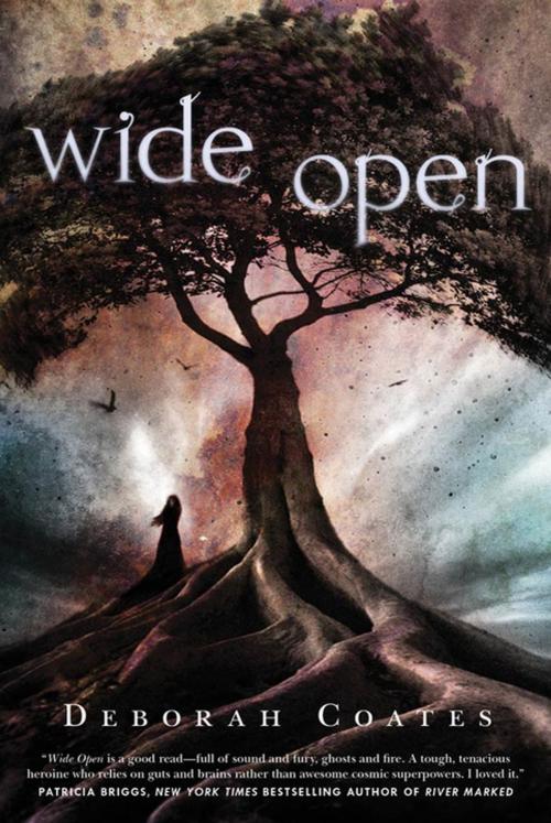 Cover of the book Wide Open by Deborah Coates, Tom Doherty Associates