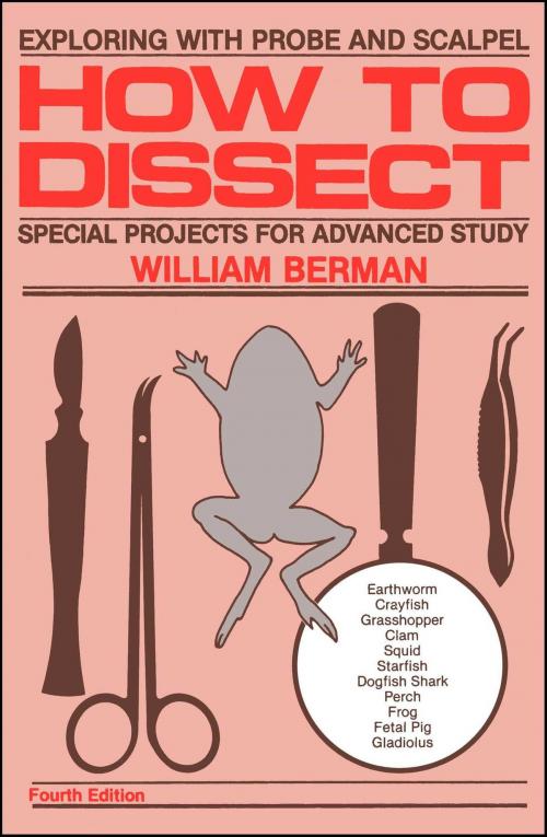 Cover of the book How to Dissect by William Berman, Touchstone