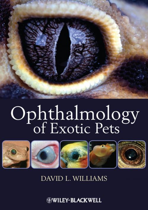 Cover of the book Ophthalmology of Exotic Pets by David L. Williams, Wiley