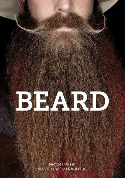 Cover of the book Beard by Matthew Rainwaters, Chronicle Books LLC