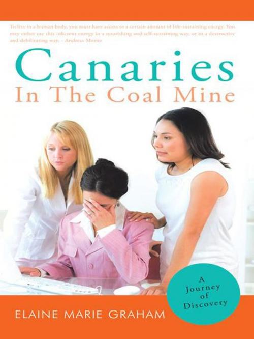Cover of the book Canaries in the Coal Mine by Elaine Marie Graham, Balboa Press
