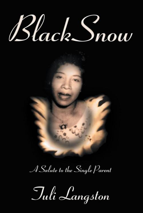 Cover of the book Black Snow by Tuli Langston, Balboa Press