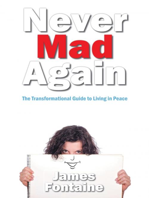 Cover of the book Never Mad Again by James Fontaine, Balboa Press
