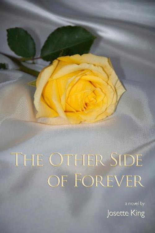 Cover of the book The Other Side of Forever by Josette King, eBookIt.com