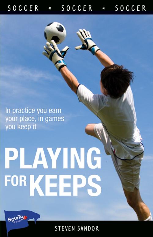 Cover of the book Playing for Keeps by Steven Sandor, James Lorimer & Company Ltd., Publishers