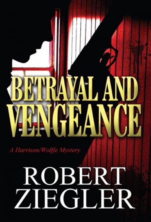 Cover of the book Betrayal and Vengeance by Robert Ziegler, PublishAmerica
