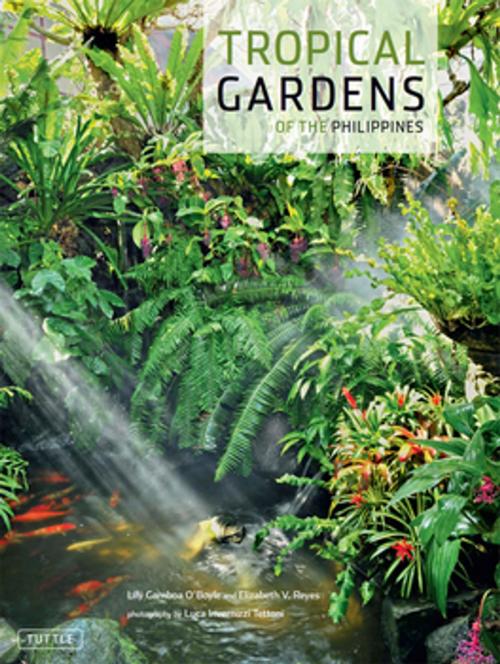 Cover of the book Tropical Gardens of the Philippines by Lily Gamboa O'Boyle, Elizabeth Reyes, Tuttle Publishing