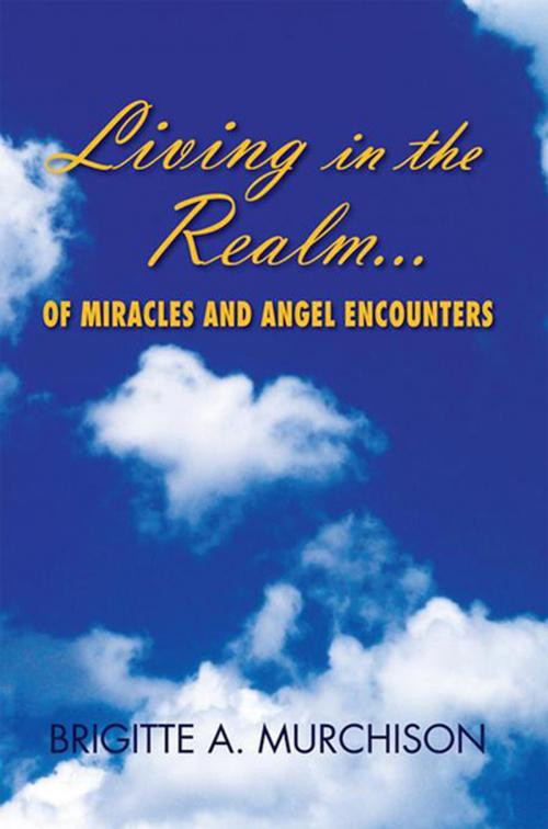 Cover of the book Living in the Realm of Miracles and Angel Encounters by Brigitte A. Murchison, Xlibris US