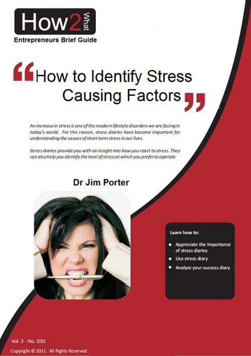 Cover of the book How to Identify Stress Causing Factors by Dr Jim Porter, Dr Jim Porter