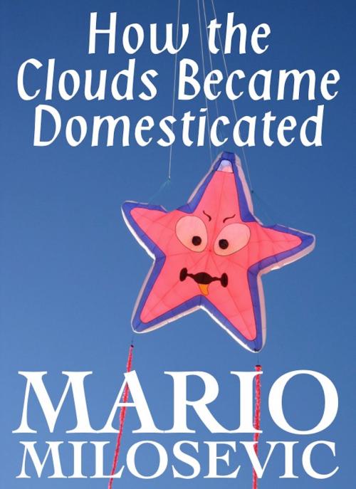 Cover of the book How the Clouds Became Domesticated by Mario Milosevic, Green Snake Publishing