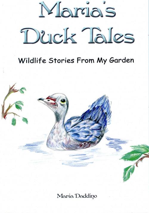 Cover of the book Maria's Duck Tales: Wildlife Stories From My Garden by Maria Daddino, Maria Daddino