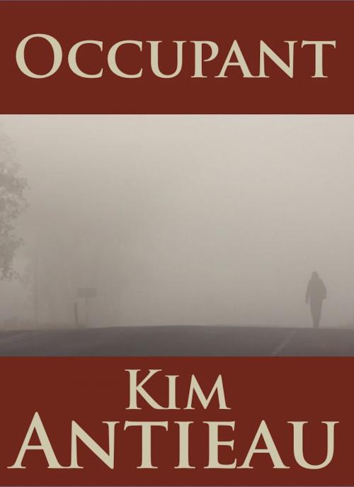 Cover of the book Occupant by Kim Antieau, Green Snake Publishing