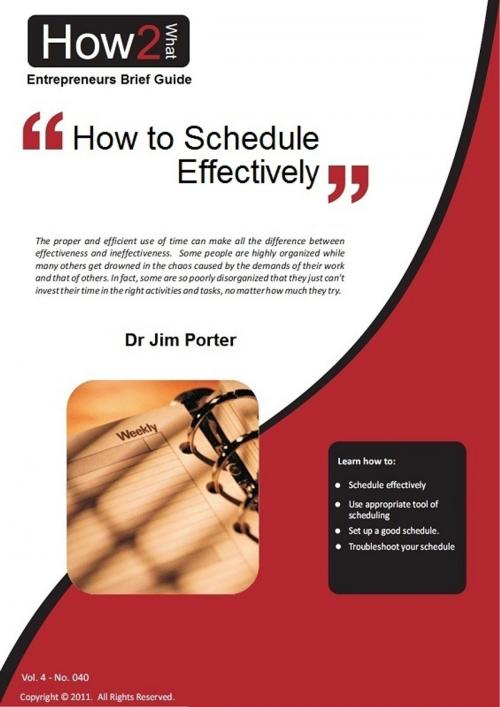 Cover of the book How to Schedule Effectively by Dr Jim Porter, Dr Jim Porter