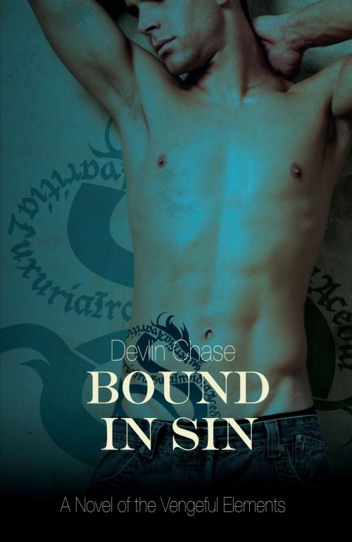Cover of the book Bound In Sin by Devlin Chase, Devlin Chase
