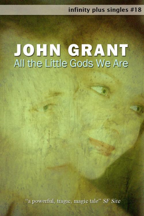 Cover of the book All the Little Gods We Are by John Grant, infinity plus