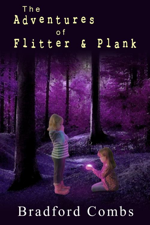 Cover of the book The Adventures of Flitter & Plank by Bradford Combs, Bradford Combs