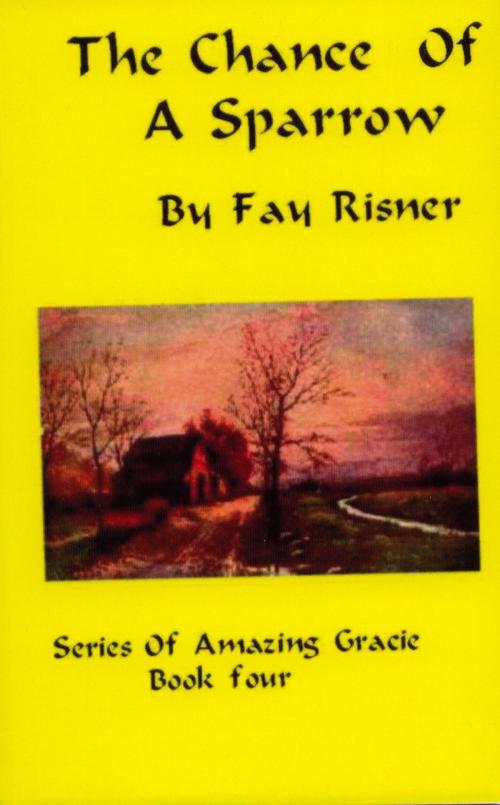 Cover of the book The Chance Of A Sparrow-book 4-Amazing Gracie Mystery Series by Fay Risner, Fay Risner