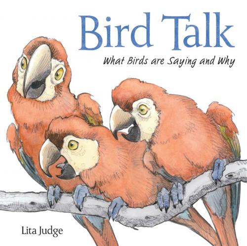 Cover of the book Bird Talk by Lita Judge, Roaring Brook Press