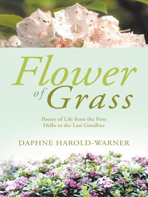 Cover of the book Flower of Grass by Daphne Harold-Warner, Trafford Publishing