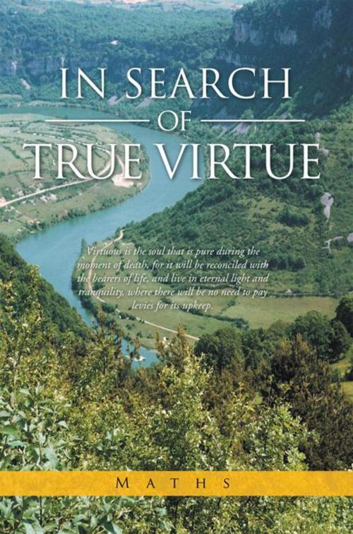 Cover of the book In Search of True Virtue by Maths, AuthorHouse UK