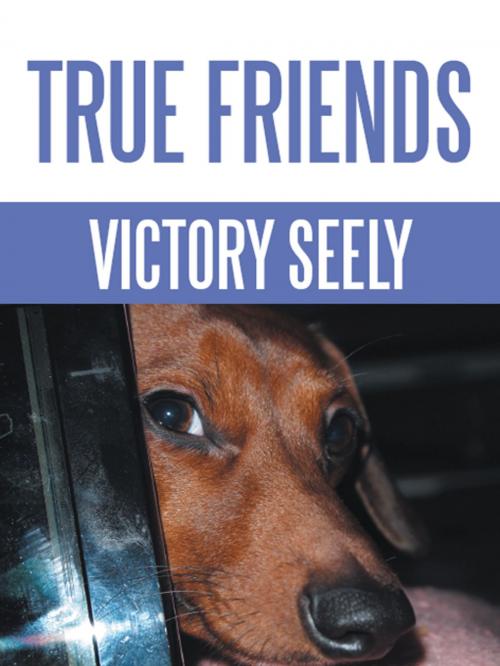 Cover of the book True Friends by Victory Seely, AuthorHouse