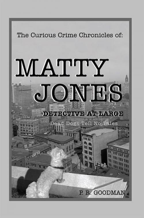 Cover of the book The Curious Crime Chronicles of :Matty Jones,Detective at Large by P. R. Goodman, Xlibris US