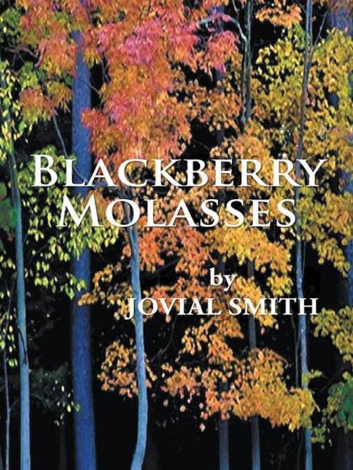 Cover of the book Blackberry Molasses by Jovial Smith, iUniverse