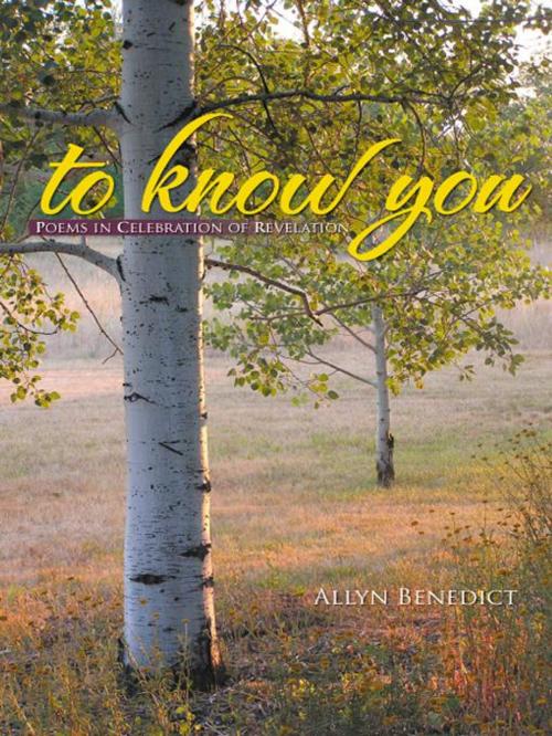 Cover of the book To Know You by Allyn Benedict, iUniverse