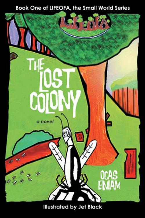 Cover of the book The Lost Colony by Ocas Eniam, iUniverse