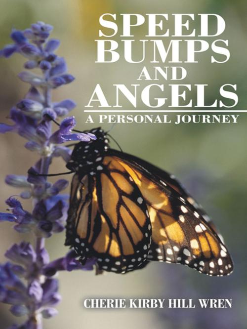 Cover of the book Speed Bumps and Angels by Cherie Kirby Hill Wren, iUniverse