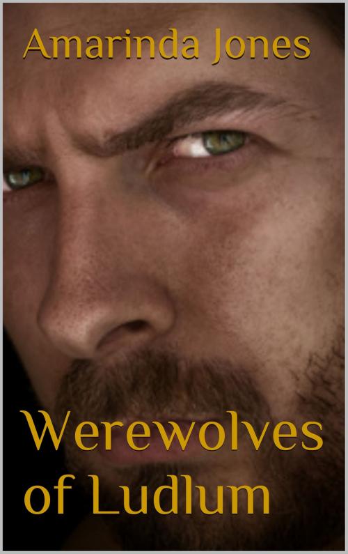 Cover of the book Werewolves of Ludlum by Amarinda Jones, Scarlet Harlot Publishing