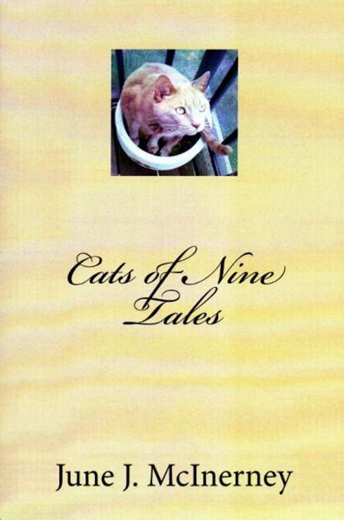 Cover of the book Cats of Nine Tales by June J McInerney, June J McInerney