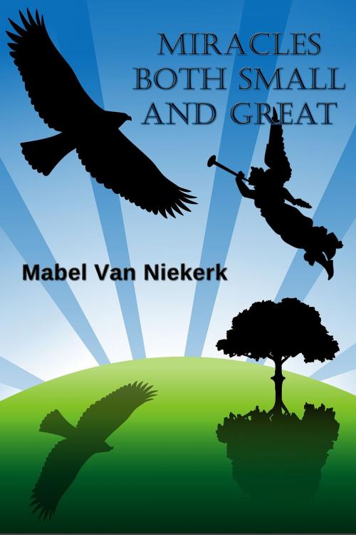 Cover of the book Miracles Both Small and Great by Mabel Van Niekerk, Mabel Van Niekerk