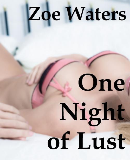 Cover of the book One Night of Lust by Zoe Waters, Zoe Waters