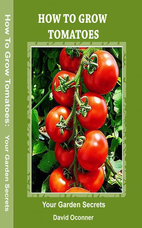 Cover of the book How To Grow Tomatoes by David Oconner, David Oconner