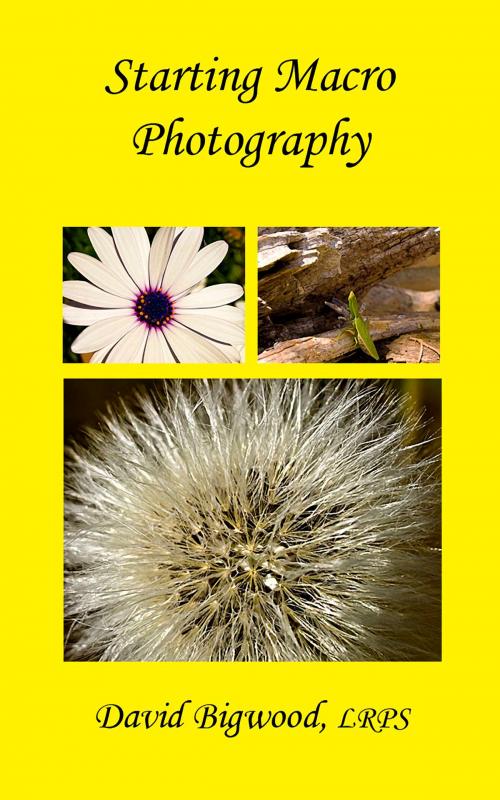 Cover of the book Starting Macro Photography by David Bigwood, David Bigwood