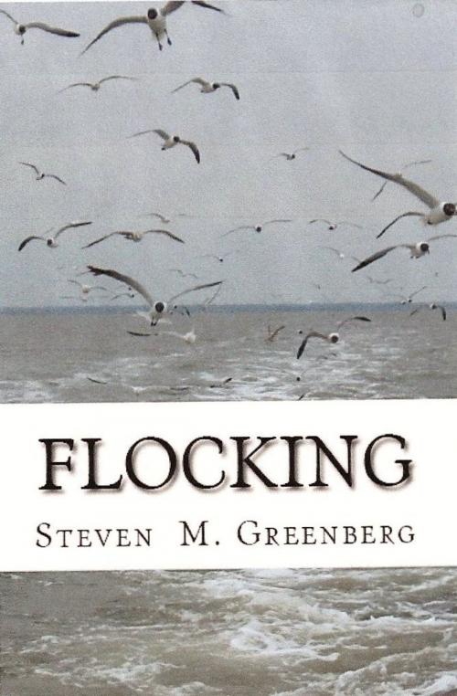 Cover of the book Flocking by Steven Greenberg, Steven Greenberg