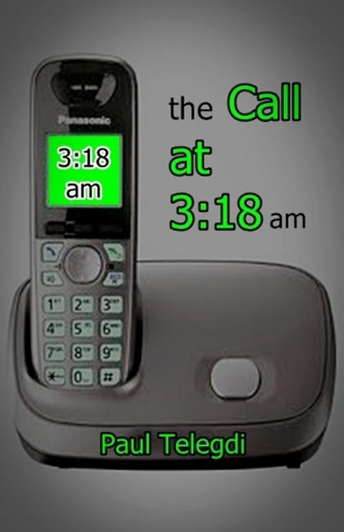 Cover of the book The Call at 3:18 am by Paul Telegdi, Paul Telegdi