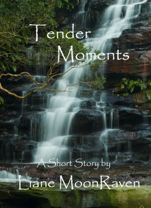 Cover of the book Tender Moments by Liane Moonraven, Liane Moonraven